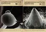Naturwissenschaftliche Rundschau. Enthält als regelmäßige Beilage: Mitteilungen des Verbandes Deutscher Biologen. Jg. 32, Heft 10 (Oktober 1979) und Heft 11 (November 1979). 
