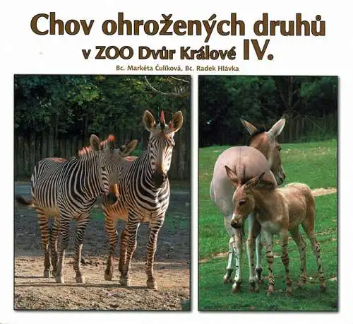 Breeding of endangered species in Zoo Dvur Králové IV. (Zebras). 