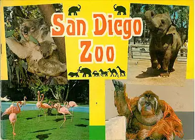 Zooführer (Koalas, Elefant, Flamingos, Orang-Utan). 