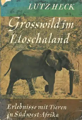 Großwild im Etoschaland. Erlebnisse mit Tieren in Südwest-Afrika. 