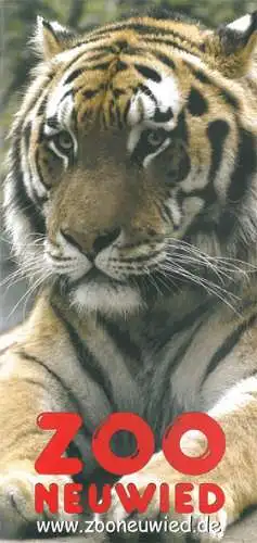 Faltblatt (Tiger). 