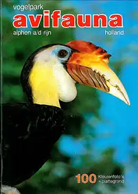 Führer mit Karte (Nashornvogel). 