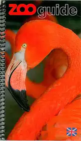 Zooführer (Flamingo) en. 