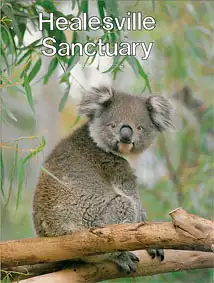 Guide (Koala) Second Edition. 