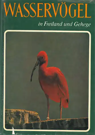 Wasservögel in Freiland und Gehege. 