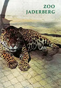 Zooführer (Jaguar). 