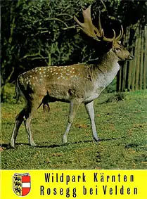Kurzinfo mit Lageplänen auch drei weiterer Wildparks. 