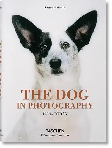 The Dog in Photography, 1839 - Today. Der Hund in der Fotografie. Le chien dans la photographie. 