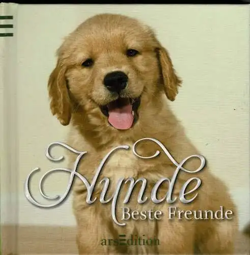 Hunde. Beste Freunde. 