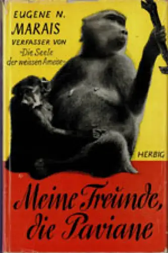 Meine Freunde, die Paviane. 