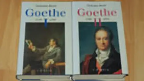Goethe. Der Dichter in seiner Zeit. 2 Bde. 