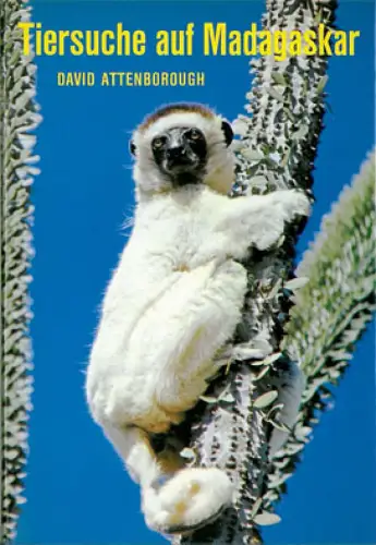 Tiersuche auf Madagaskar. 