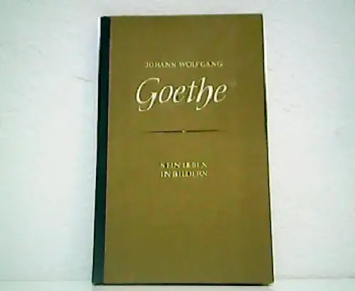Johann Wolfgang Goethe. Sein Leben in 150 Bildern. 