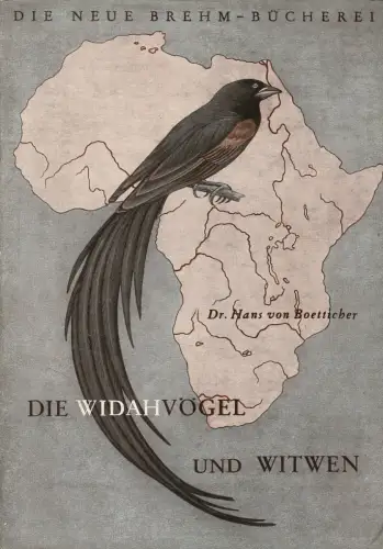 Die Widahvögel und Witwen (Neue Brehm-Bücherei, Heft 63). 