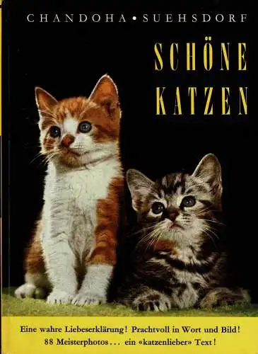 Schöne Katzen. Was sie für uns bedeuten, wie sie leben und wie man sie hegt und pflegt. 