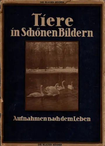 Die blauen Bücher - Tiere in schönen Bildern - Aufnahmen nach dem Leben. 
