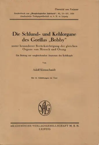 Die Schlund- und Kehlorgane des Gorillas "Bobby" unter besonderer Berücksichtigung der gleichen Organe von Mensch und Orang. 