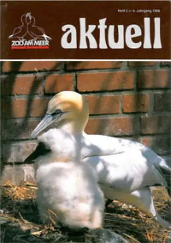 Bremerhaven aktuell  H3/Jg.8. 