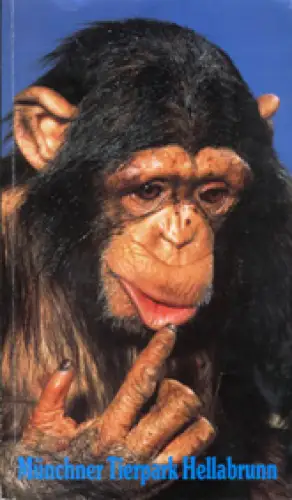 Zooführer (Schimpanse). 