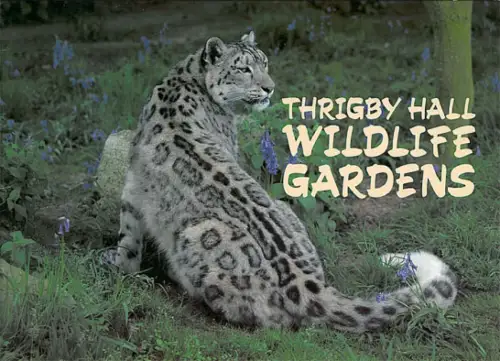 Parkführer (Schneeleopard). 