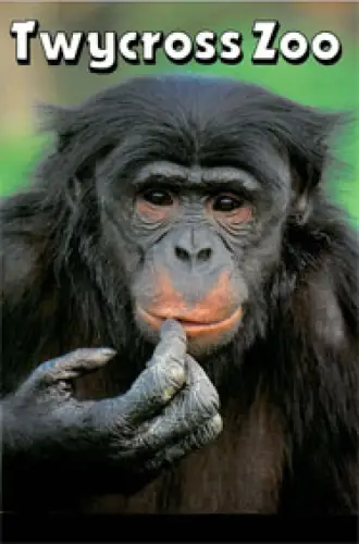 Official Guide (bonobo). 