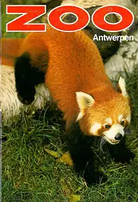 Zooführer (Roter Panda) ohne Faltplan. 