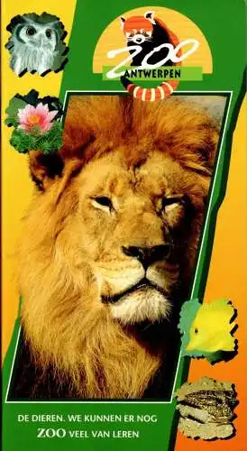 Zoo Antwerpen Zooführer (Löwe). 