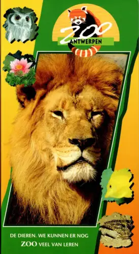 Zoo Antwerpen Zooführer (Löwe). 