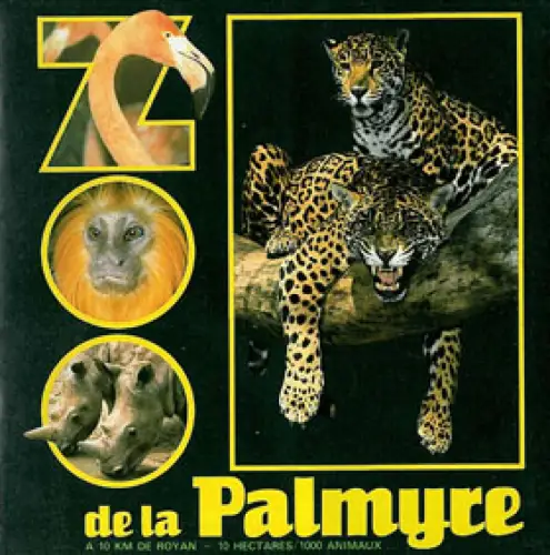 Zooführer (Jaguare). 