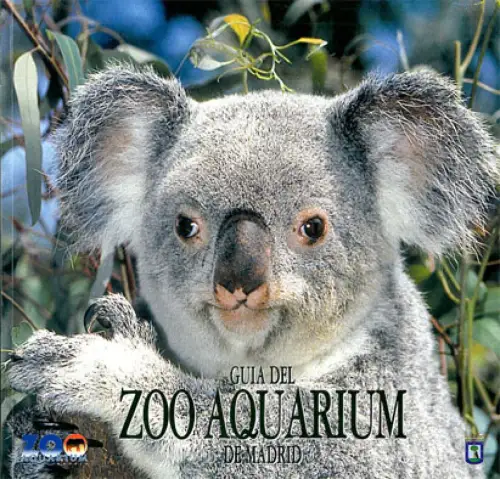 Guía del Zoo de la casa de campo de Madrid, Koala, 6. Auflage (Zusammenfassung auf der Rückseite in it, ft, en, frz und arab). 