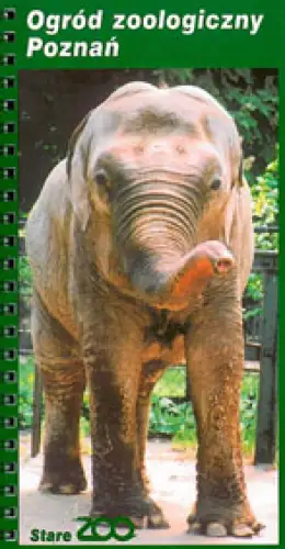Zooführer (Stare Zoo; Elefant). 