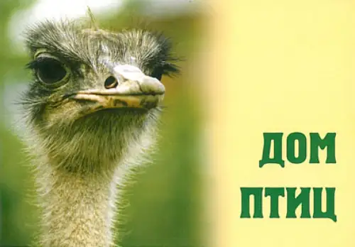 Wegweiser Vogelhaus. 