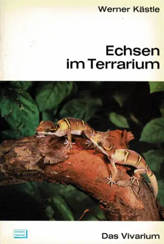 Echsen im Terrarium. 