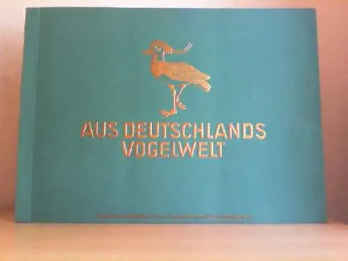 Aus Deutschlands Vogelwelt. 