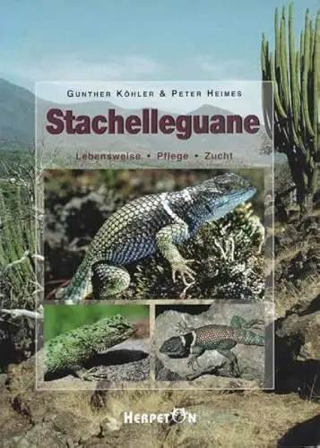 Stachelleguane - Lebensweise, Pflege, Zucht. 