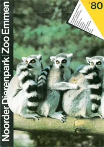 Infoheft (Kattas) 1980. 