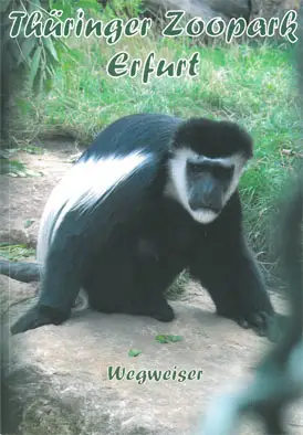 Wegweiser, 2. Ausgabe (Guerezas). 