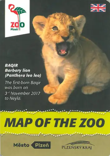 Zooplan (Berberlöwe Baqir). 
