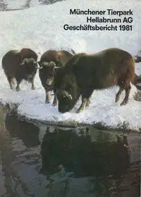 Geschäftsbericht 1981. 