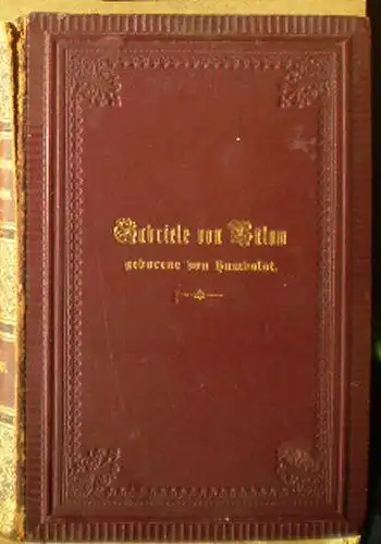 Gabriele von Bülow, Tochter Wilhelm von Humboldts, Ein Lebensbild aus den Familienpapieren Wilhelm von Humboldts und seiner Kinder, 1791-1887. 