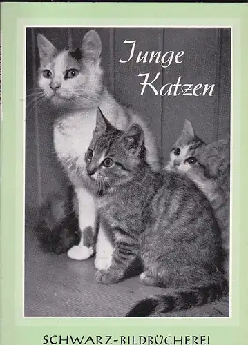 Eytzinger, Elisabetz: Junge Katzen. 42 Bildtafeln. 