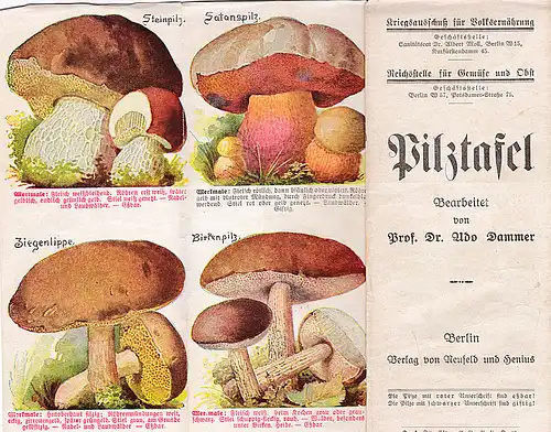 Dammer, Udo (Bearbeiter), Kriegsausschuß für Volksernährung, Reichsstelle für Gemüse und Obst (Hrsg): Pilztafel um 1914, Kriegsausschuß für Volksernährung, 1. Weltkrieg, Pilze. 