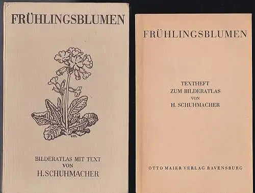 Schumacher, H: Frühlingsblumen - Bilderatlas und Text. 