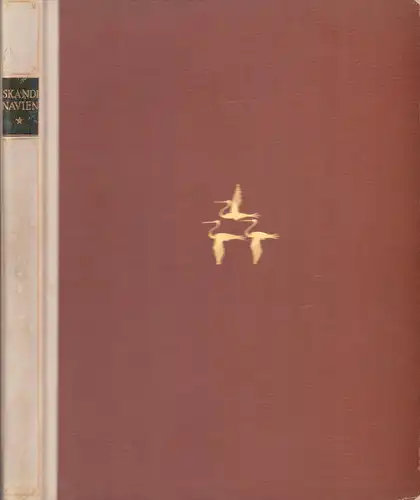 Skandinavien. Dänemark, Schweden, Norwegen, Finnland. Baukunst, Landschaft, Volksleben. Mit einer Einleitung von Valdemar Rørdam [u.a.]. (13.-22. Tsd.). 