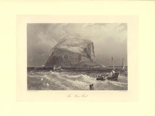The Bass Rock. Stahlstich von John Godfrey, nach einer Zeichnung von Birket Foster