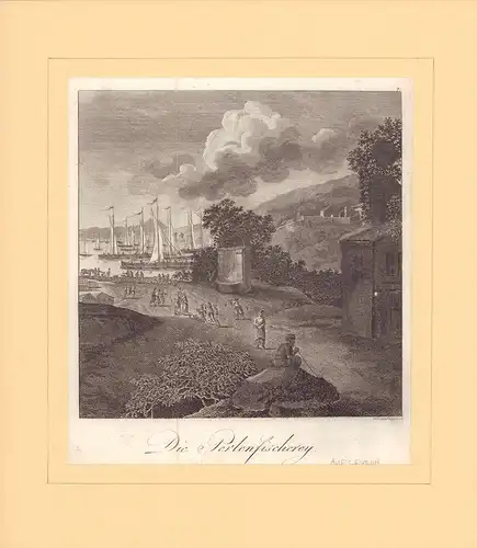 Die Perlenfischerey [auf Ceylon]. Kupferstich von Schindelmayer