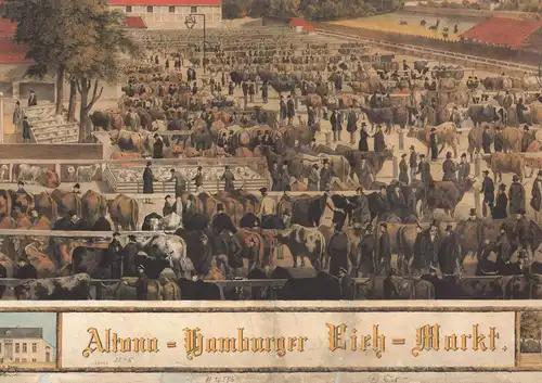 Altona-Hamburger Vieh-Markt. Nach der Natur gezeichnet von J. F. [Johann Friedrich] Knecht. REPRINT der Lithographie (Hamburg, Ch. Fuchs, um 1845). 