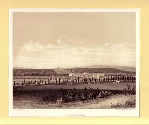 Schönbrunn. (Generalansicht). Ton-Lithographie von Wilh. Mayer. Gedr. bei Reiffenstein & Kösch