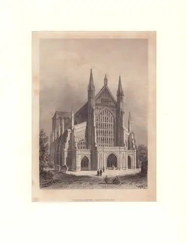 Winchester Cathedrale. Stahlstich
