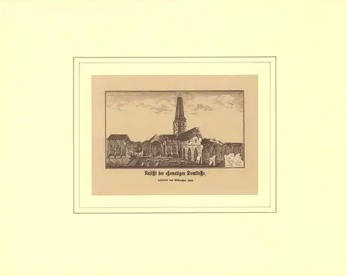 Ansicht der ehemaligen Domkirche während des Abbruches 1805. Zinkographie